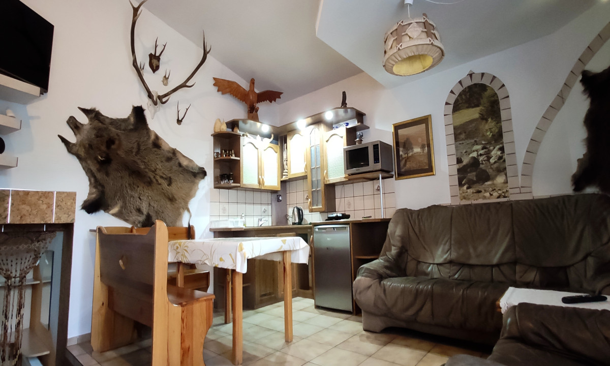 przylesie apartament dzik